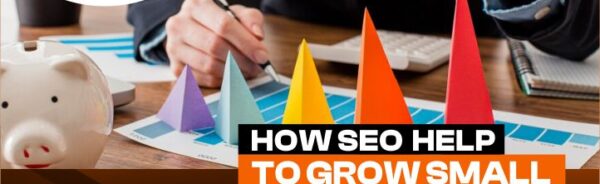 How SEO Helps to Grow Small Business